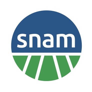 Snam logo